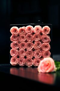 Chic arrangement of pink roses in a stylish box, photographed in Dubai.