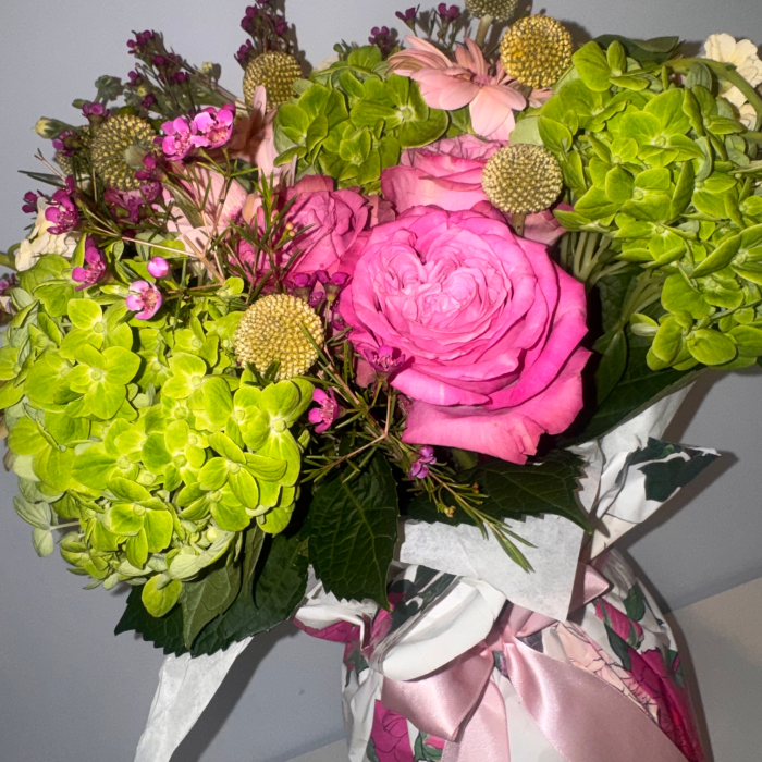 img 9095.webp
